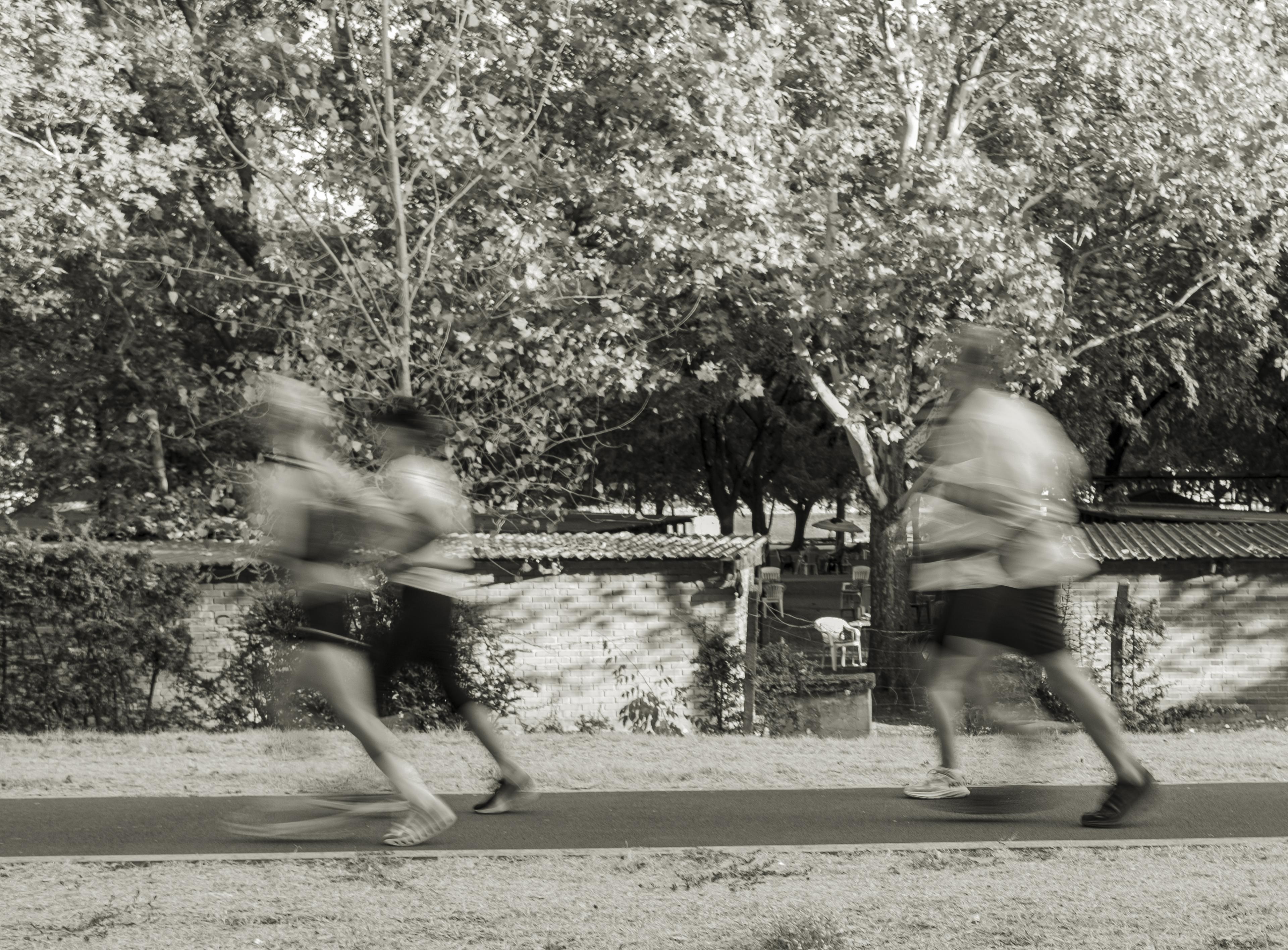 Runners moving along a tree-lined path in black and white